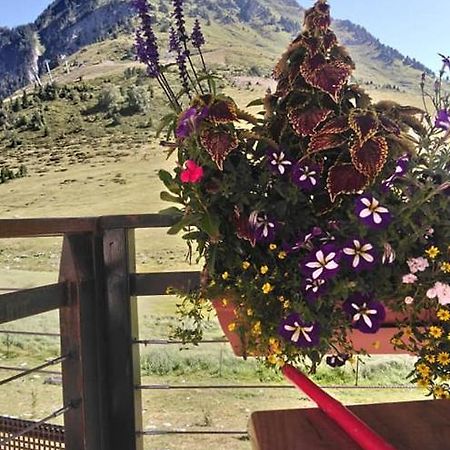 Studio Sur Les Pistes Bagnères-de-Bigorre المظهر الخارجي الصورة